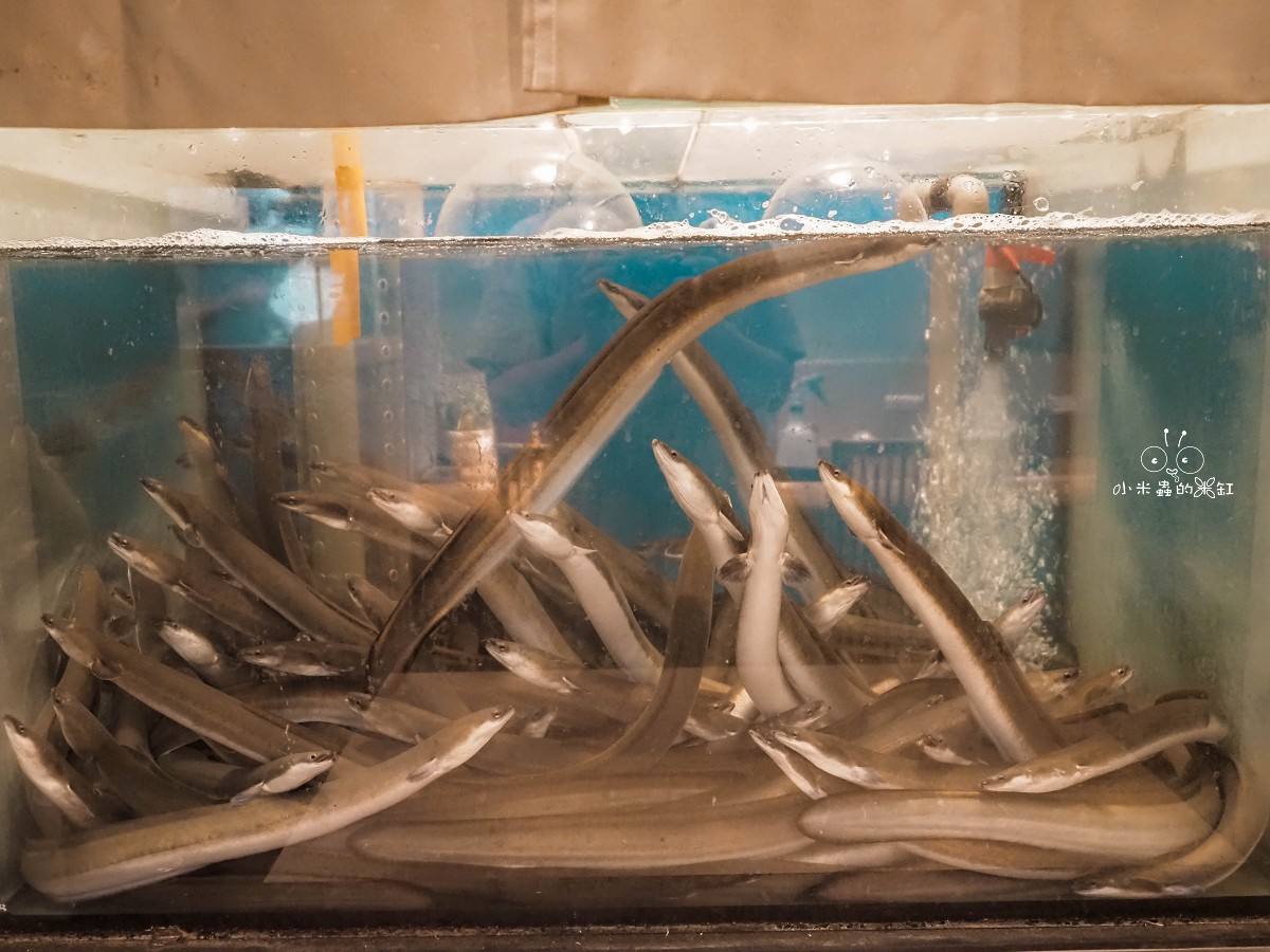 濱松屋|中山站必吃鰻魚飯!米其林必比登推薦,現殺活鰻、包廂座位超有質感 - 第10張圖