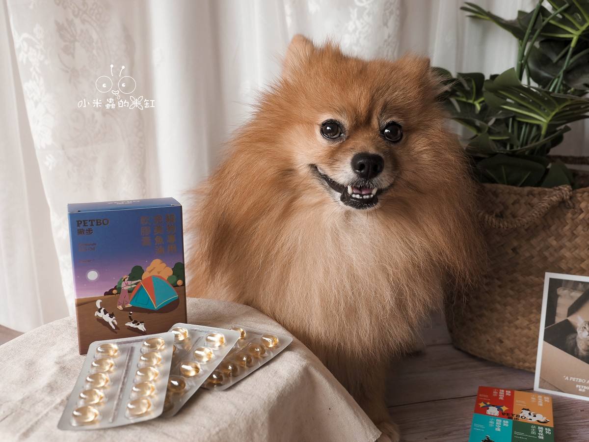 寵物保養品推薦|撇步PETBO寵物魚油膠囊分享&毛孩保健開箱,挑嘴狗也愛吃的營養好撇步! - 第2張圖