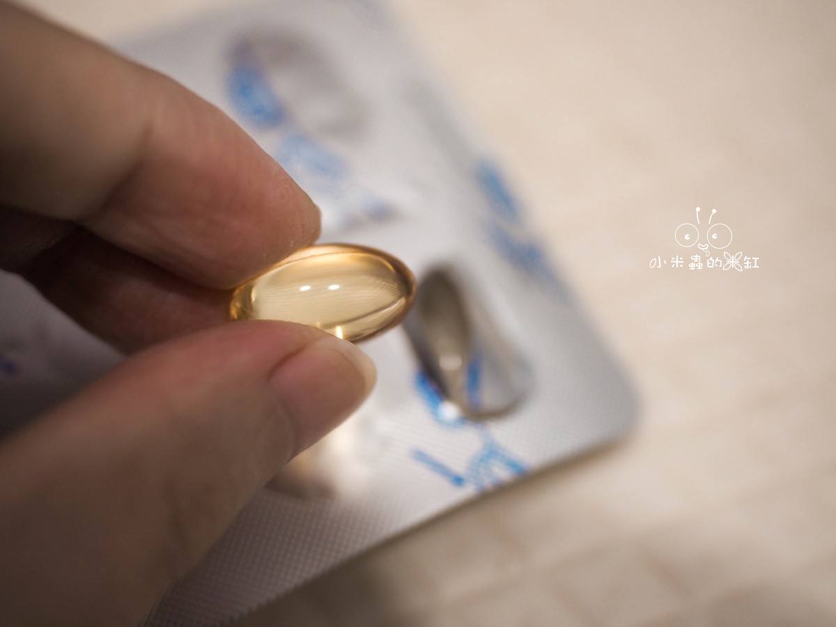 寵物保養品推薦|撇步PETBO寵物魚油膠囊分享&毛孩保健開箱,挑嘴狗也愛吃的營養好撇步! - 第7張圖