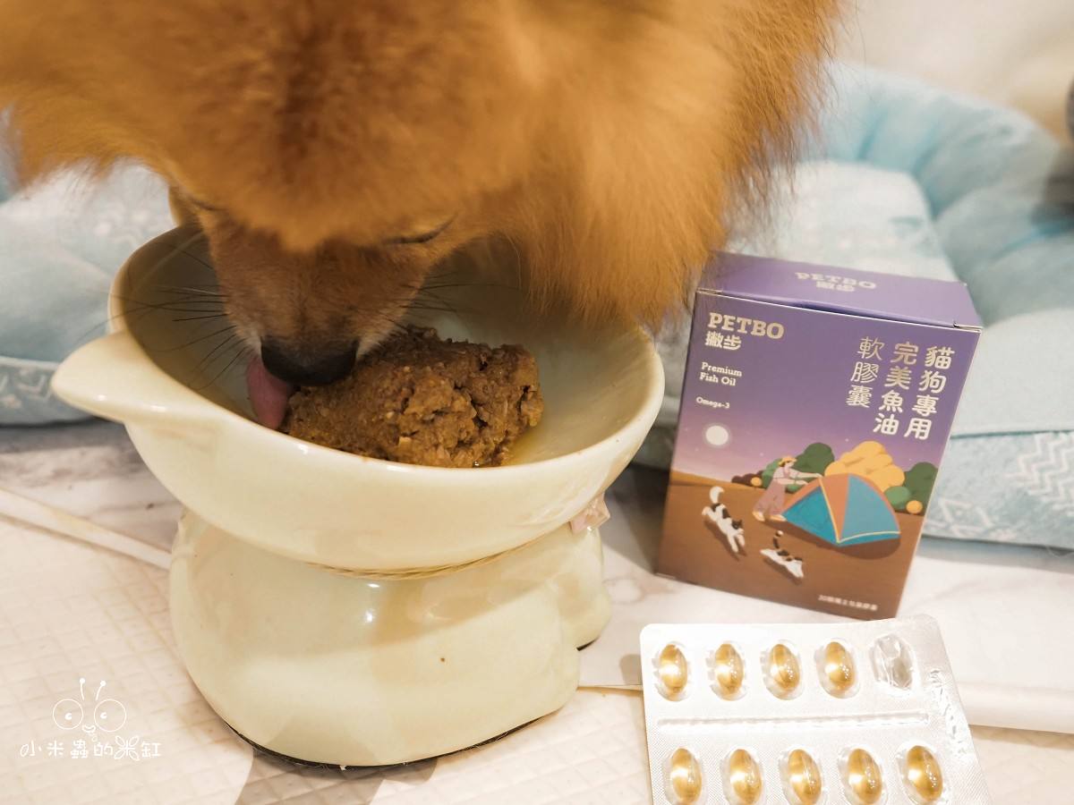 寵物保養品推薦|撇步PETBO寵物魚油膠囊分享&毛孩保健開箱,挑嘴狗也愛吃的營養好撇步! - 第12張圖