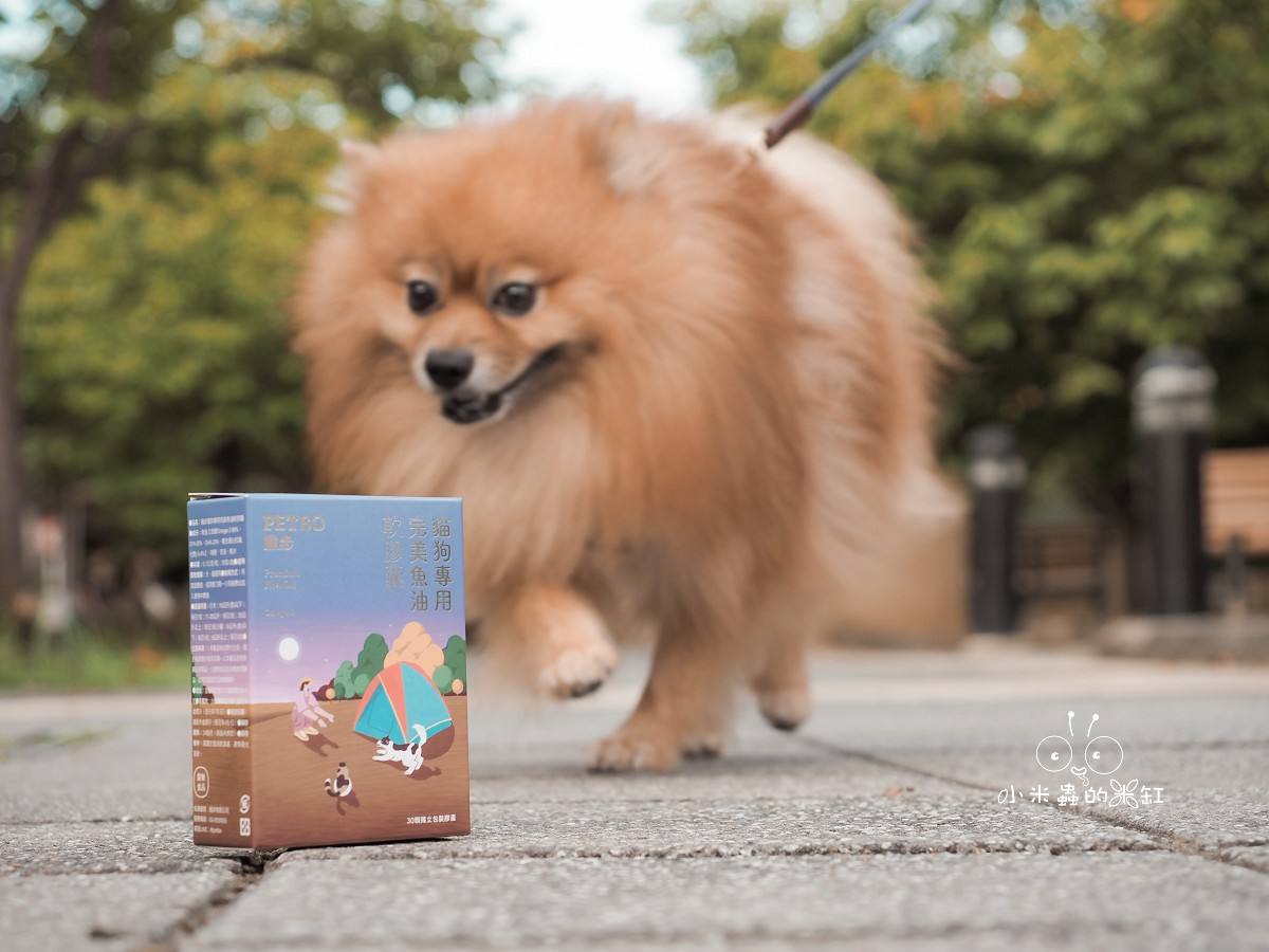 寵物保養品推薦|撇步PETBO寵物魚油膠囊分享&毛孩保健開箱,挑嘴狗也愛吃的營養好撇步! - 第16張圖