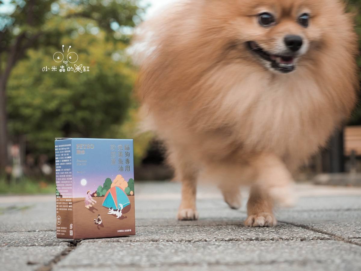 寵物保養品推薦|撇步PETBO寵物魚油膠囊分享&毛孩保健開箱,挑嘴狗也愛吃的營養好撇步! - 第17張圖