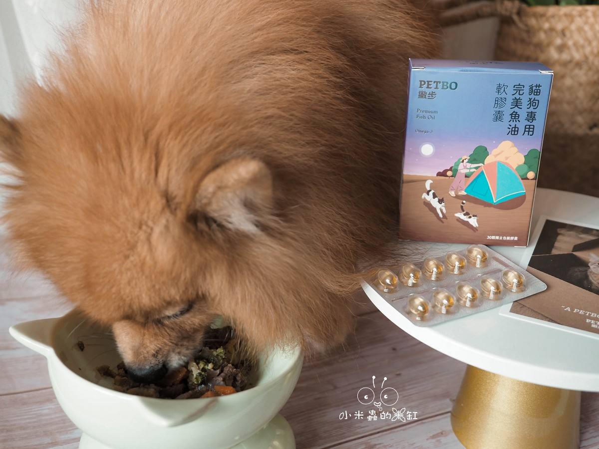 寵物保養品推薦|撇步PETBO寵物魚油膠囊分享&毛孩保健開箱,挑嘴狗也愛吃的營養好撇步! - 第13張圖