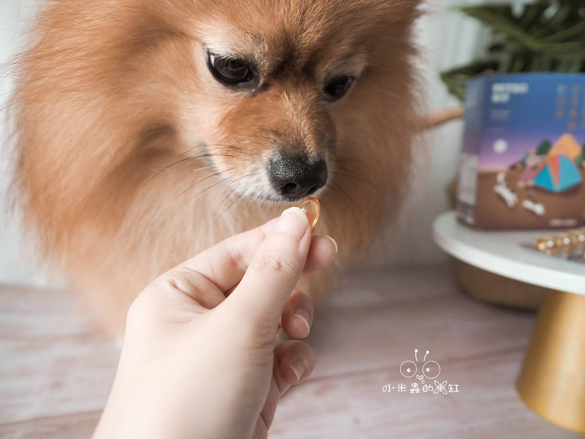 寵物保養品推薦|撇步PETBO寵物魚油膠囊分享&毛孩保健開箱,挑嘴狗也愛吃的營養好撇步! - 第8張圖