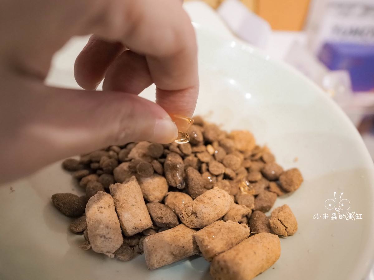 寵物保養品推薦|撇步PETBO寵物魚油膠囊分享&毛孩保健開箱,挑嘴狗也愛吃的營養好撇步! - 第14張圖