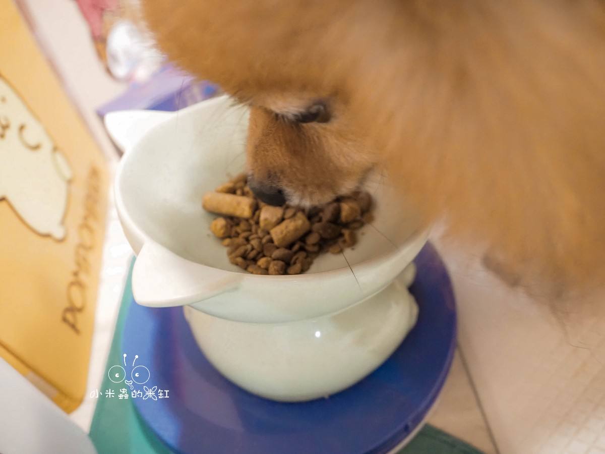 寵物保養品推薦|撇步PETBO寵物魚油膠囊分享&毛孩保健開箱,挑嘴狗也愛吃的營養好撇步! - 第15張圖