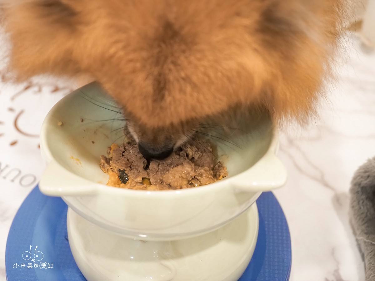 寵物鮮食推薦|CoCo Gourmet狗狗鮮食餐包開箱|無添加無穀常溫即食包,挑食狗也超愛! - 第23張圖