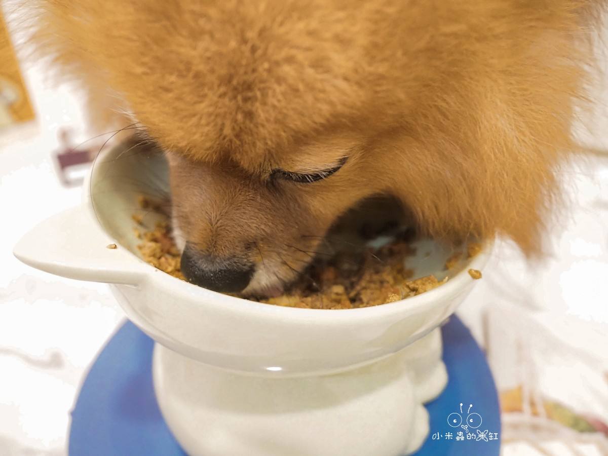 寵物鮮食推薦|CoCo Gourmet狗狗鮮食餐包開箱|無添加無穀常溫即食包,挑食狗也超愛! - 第19張圖