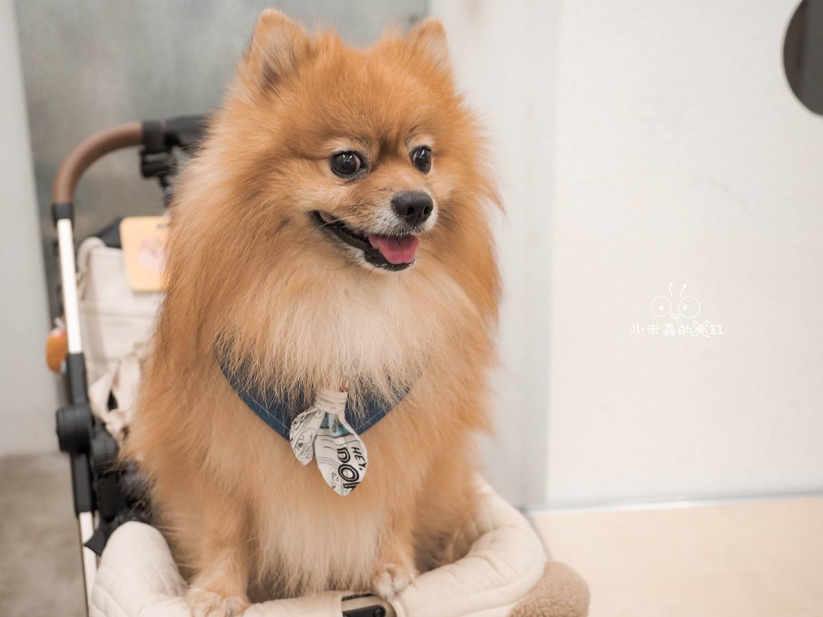 eee Ice Cream and Bakes|大安區人氣純植物甜點店!連狗狗都能吃的健康冰淇淋,濃郁開心果必點! - 第9張圖