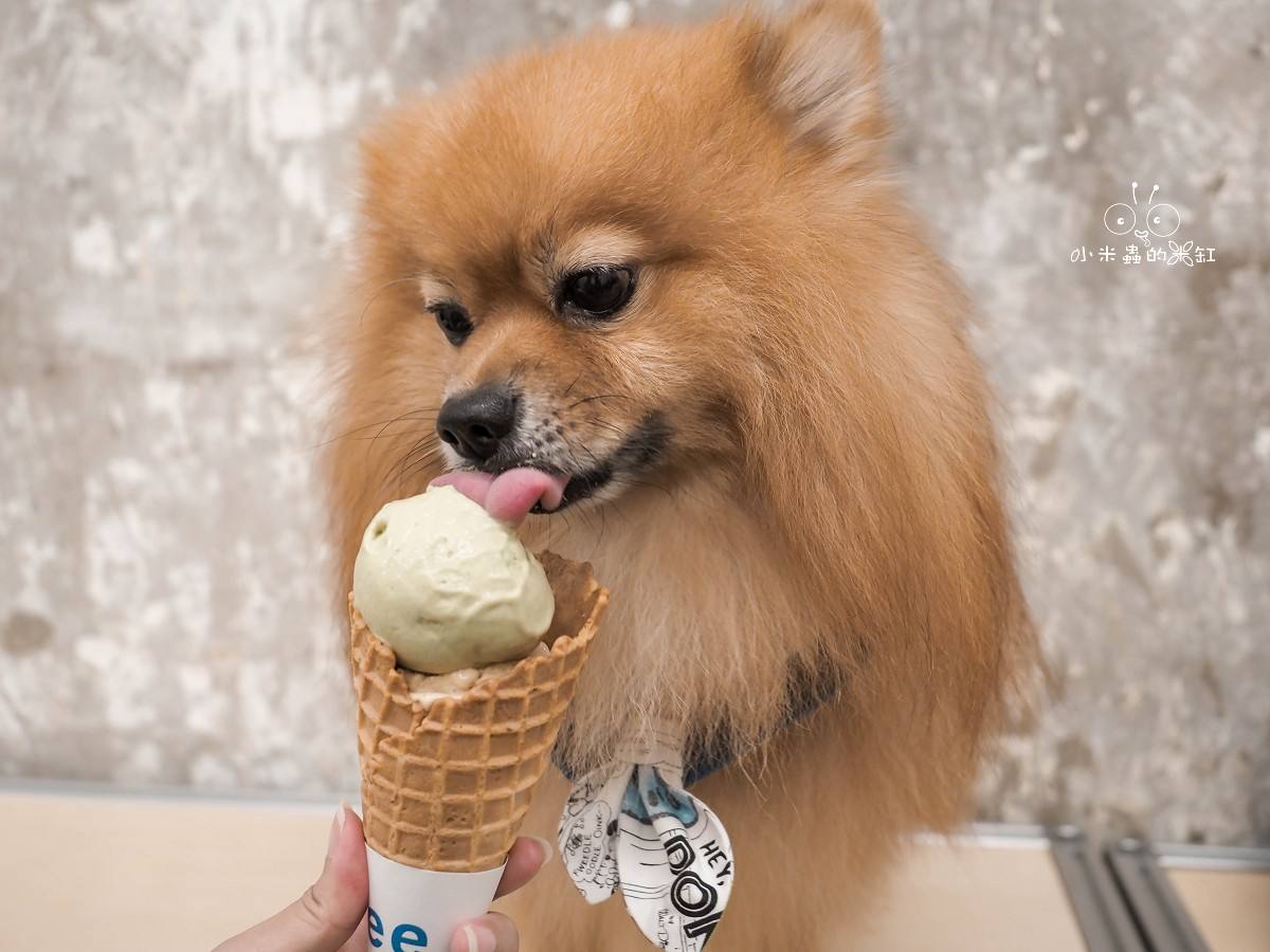 eee Ice Cream and Bakes|大安區人氣純植物甜點店!連狗狗都能吃的健康冰淇淋,濃郁開心果必點! - 第19張圖