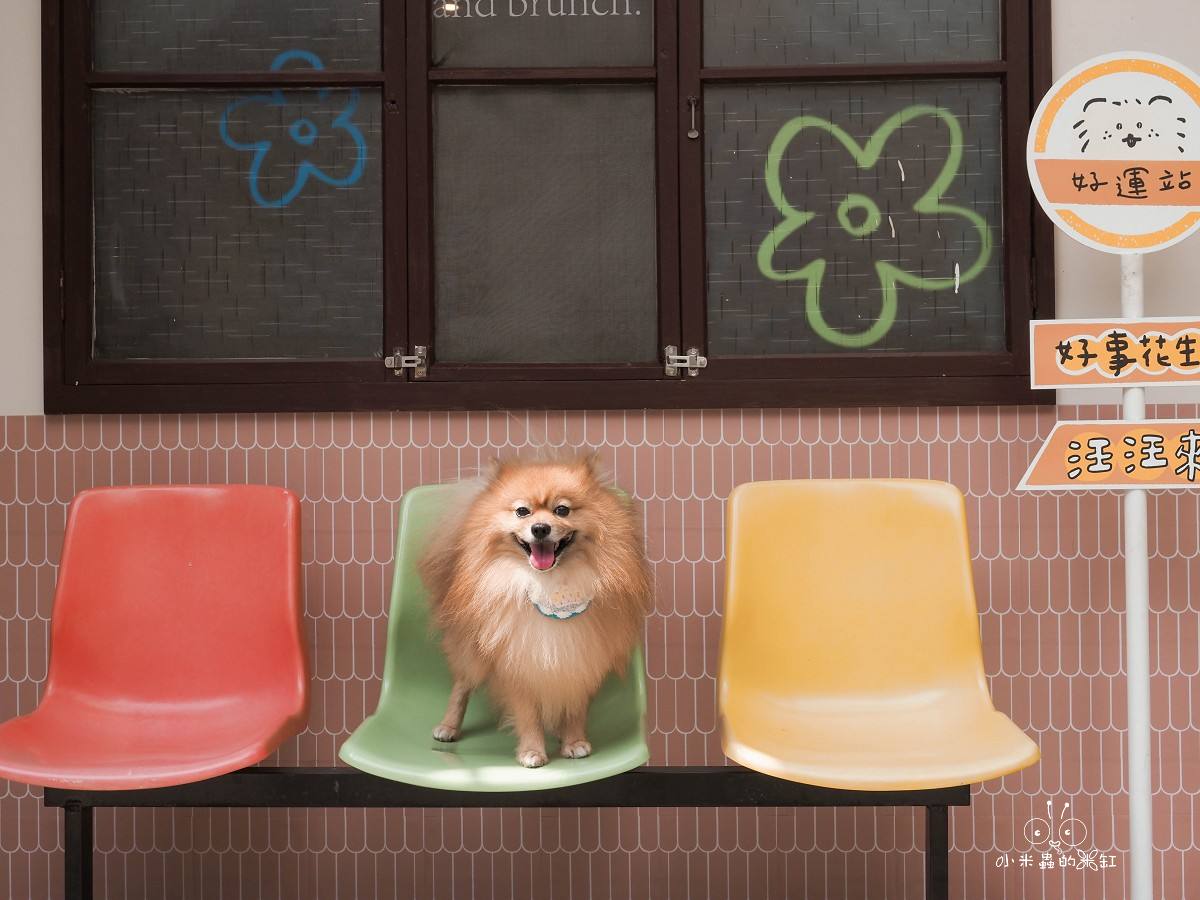 台北寵物友善咖啡廳推薦|好運站咖啡 萌度爆表!南機場旁的溫馨小店,有狗狗蛋糕、彩色候車椅超好拍 - 第3張圖