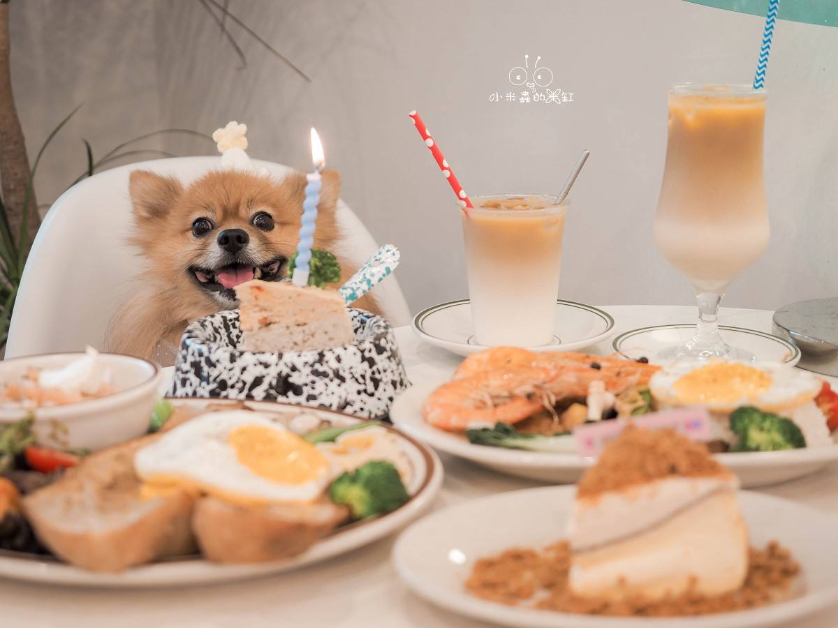 台北寵物友善咖啡廳推薦|好運站咖啡 萌度爆表!南機場旁的溫馨小店,有狗狗蛋糕、彩色候車椅超好拍 - 第1張圖