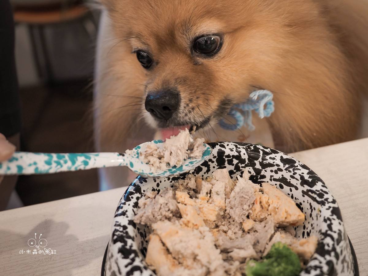 台北寵物友善咖啡廳推薦|好運站咖啡 萌度爆表!南機場旁的溫馨小店,有狗狗蛋糕、彩色候車椅超好拍 - 第28張圖