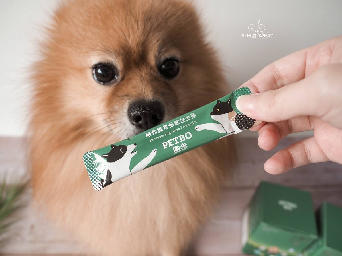 撇步 PETBO寵物腸胃保健益生菌開箱|DUFFY 的日常小保養!餵食方便、好攜帶,毛孩腸胃補充更輕鬆 - 第9張圖 撇步 PETBO寵物腸胃保健益生菌開箱|DUFFY 的日常小保養!餵食方便、好攜帶,毛孩腸胃補充更輕鬆