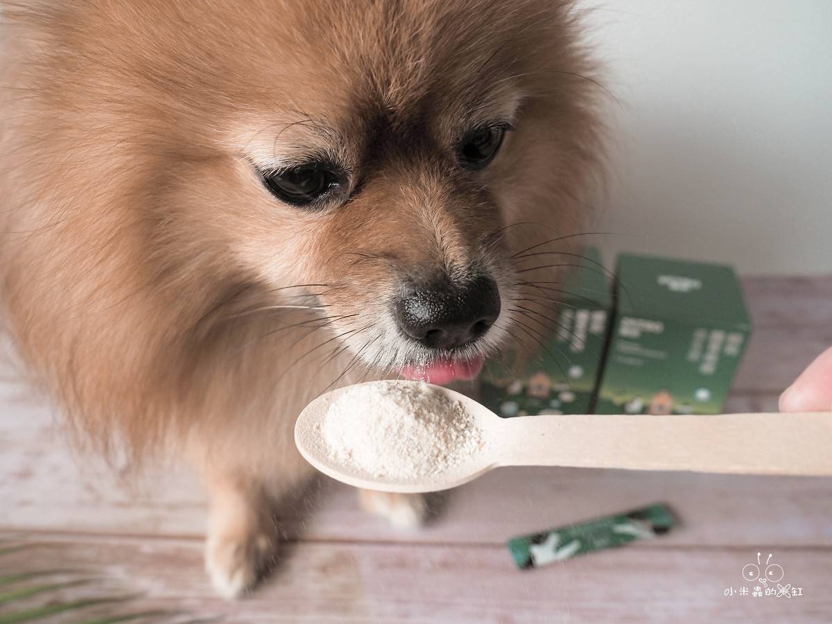 撇步 PETBO寵物腸胃保健益生菌開箱|DUFFY 的日常小保養!餵食方便、好攜帶,毛孩腸胃補充更輕鬆 - 第11張圖 撇步 PETBO寵物腸胃保健益生菌開箱|DUFFY 的日常小保養!餵食方便、好攜帶,毛孩腸胃補充更輕鬆