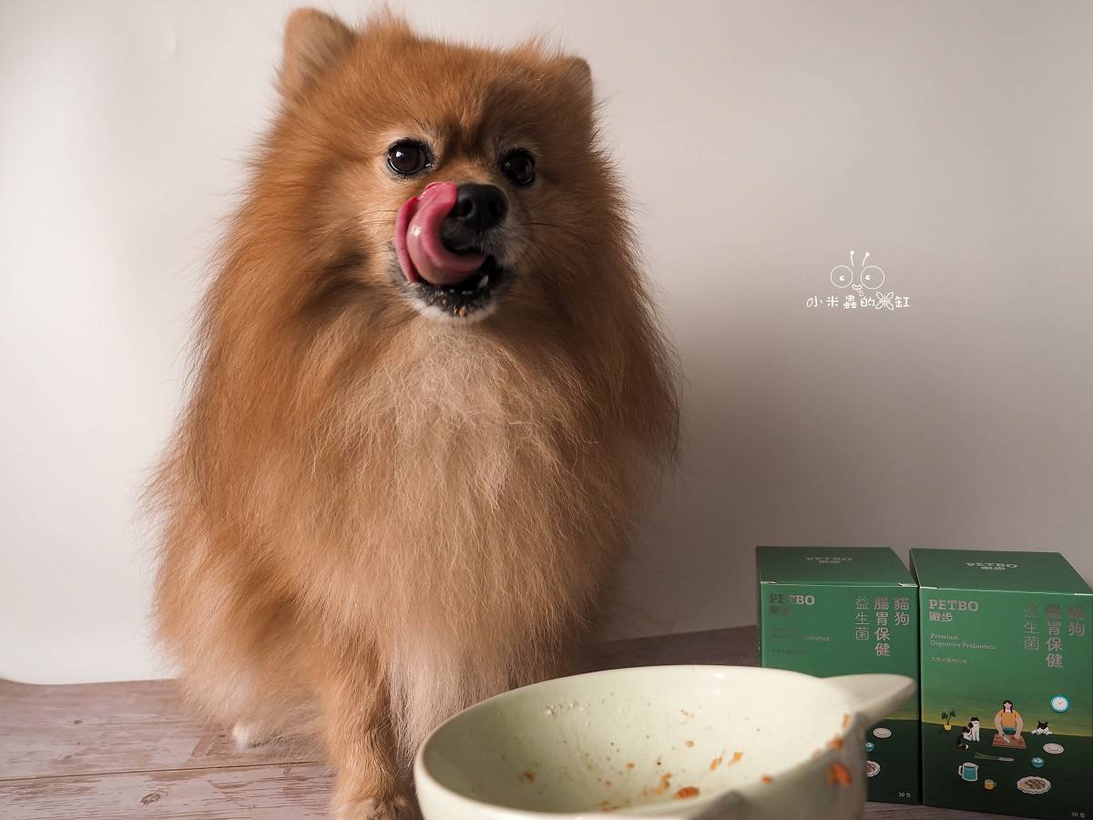 撇步 PETBO寵物腸胃保健益生菌開箱|DUFFY 的日常小保養!餵食方便、好攜帶,毛孩腸胃補充更輕鬆 - 第17張圖 撇步 PETBO寵物腸胃保健益生菌開箱|DUFFY 的日常小保養!餵食方便、好攜帶,毛孩腸胃補充更輕鬆