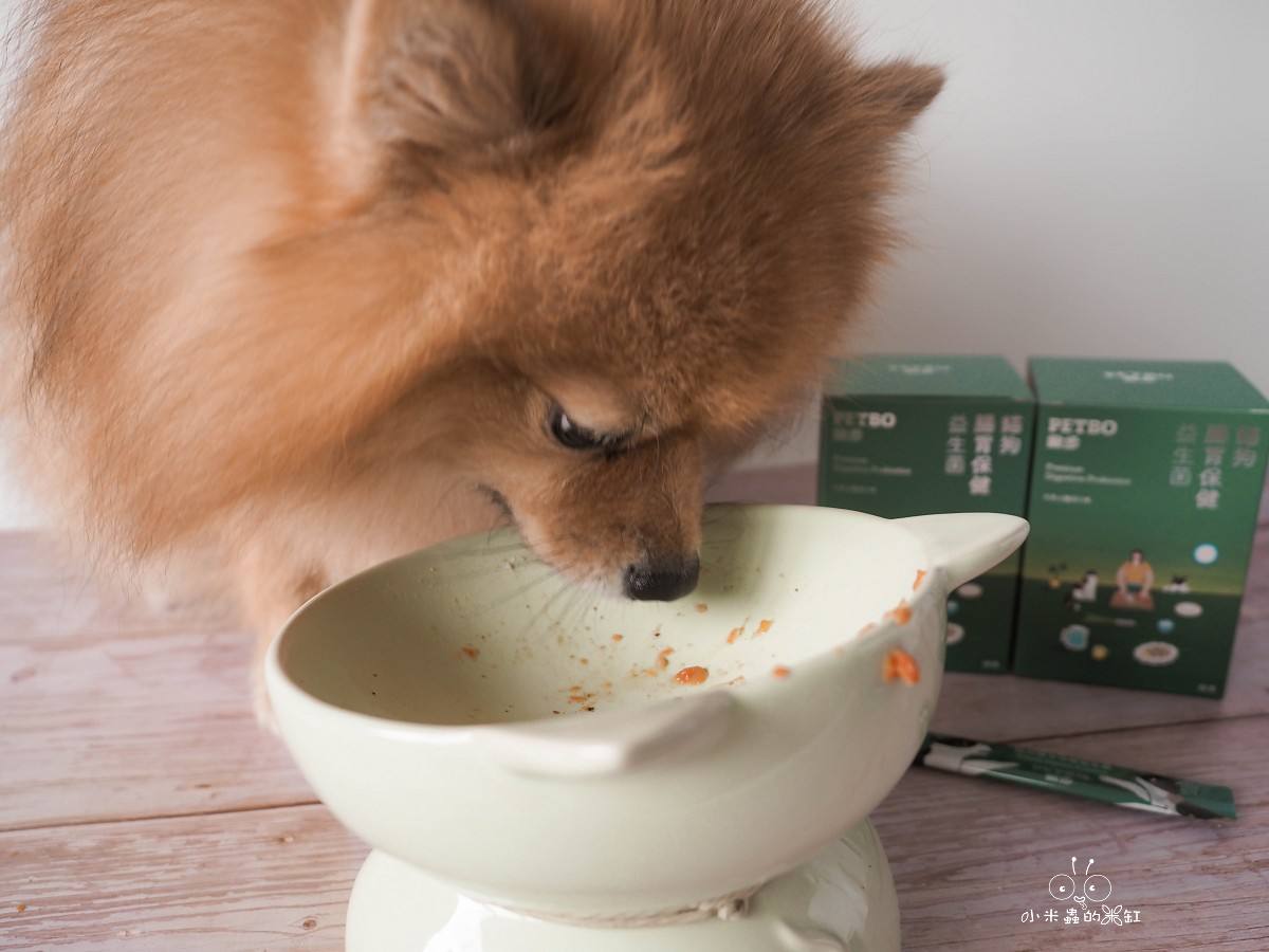 撇步 PETBO寵物腸胃保健益生菌開箱|DUFFY 的日常小保養!餵食方便、好攜帶,毛孩腸胃補充更輕鬆 - 第16張圖 撇步 PETBO寵物腸胃保健益生菌開箱|DUFFY 的日常小保養!餵食方便、好攜帶,毛孩腸胃補充更輕鬆