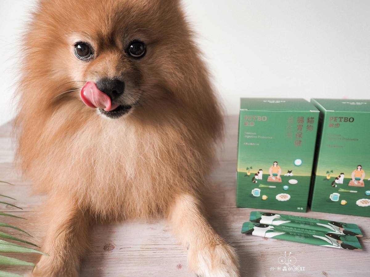 撇步 PETBO寵物腸胃保健益生菌開箱|DUFFY 的日常小保養!餵食方便、好攜帶,毛孩腸胃補充更輕鬆 - 第19張圖 撇步 PETBO寵物腸胃保健益生菌開箱|DUFFY 的日常小保養!餵食方便、好攜帶,毛孩腸胃補充更輕鬆