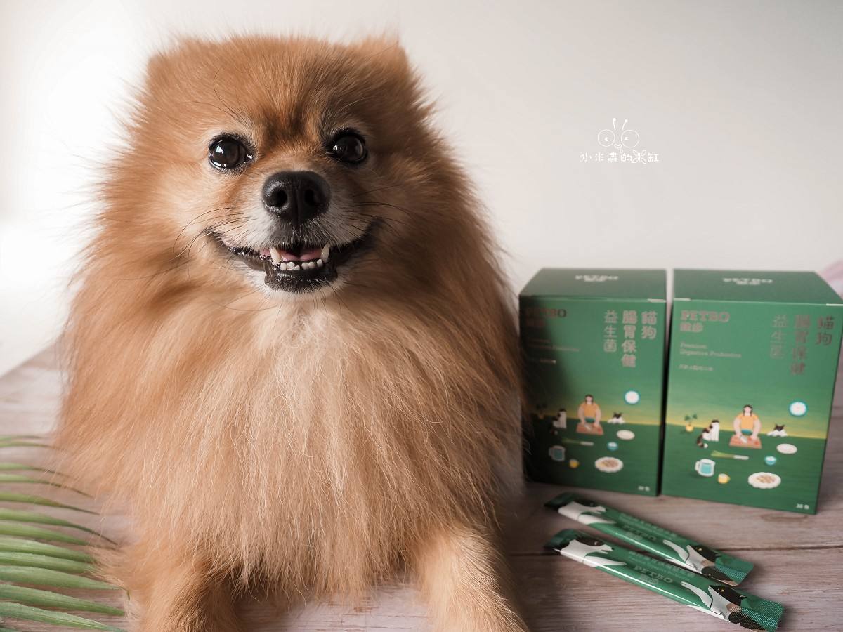 撇步 PETBO寵物腸胃保健益生菌開箱|DUFFY 的日常小保養!餵食方便、好攜帶,毛孩腸胃補充更輕鬆 - 第1張圖 撇步 PETBO寵物腸胃保健益生菌開箱|DUFFY 的日常小保養!餵食方便、好攜帶,毛孩腸胃補充更輕鬆