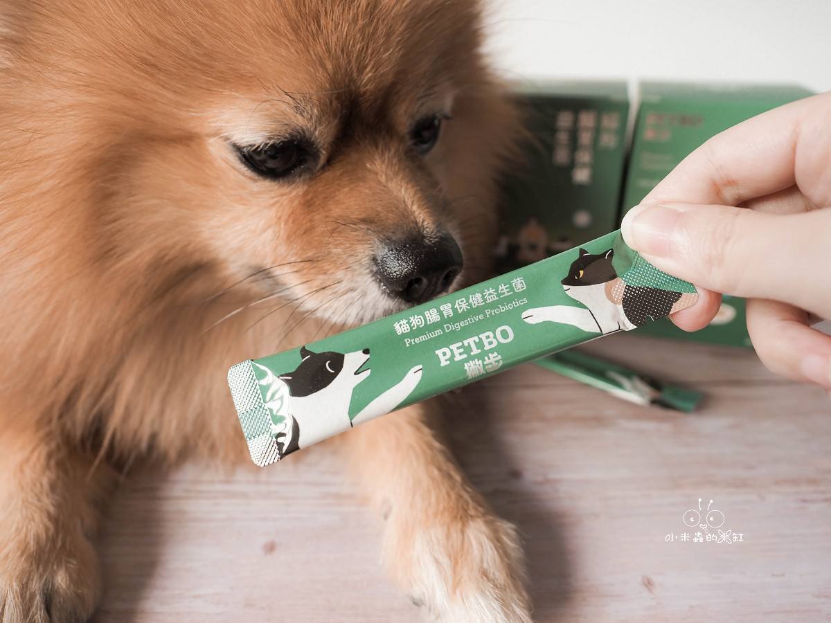 撇步 PETBO寵物腸胃保健益生菌開箱|DUFFY 的日常小保養!餵食方便、好攜帶,毛孩腸胃補充更輕鬆 - 第18張圖 撇步 PETBO寵物腸胃保健益生菌開箱|DUFFY 的日常小保養!餵食方便、好攜帶,毛孩腸胃補充更輕鬆