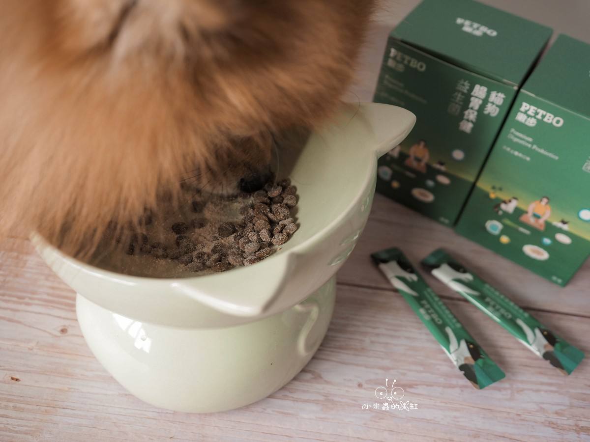 撇步 PETBO寵物腸胃保健益生菌開箱|DUFFY 的日常小保養!餵食方便、好攜帶,毛孩腸胃補充更輕鬆 - 第13張圖 撇步 PETBO寵物腸胃保健益生菌開箱|DUFFY 的日常小保養!餵食方便、好攜帶,毛孩腸胃補充更輕鬆