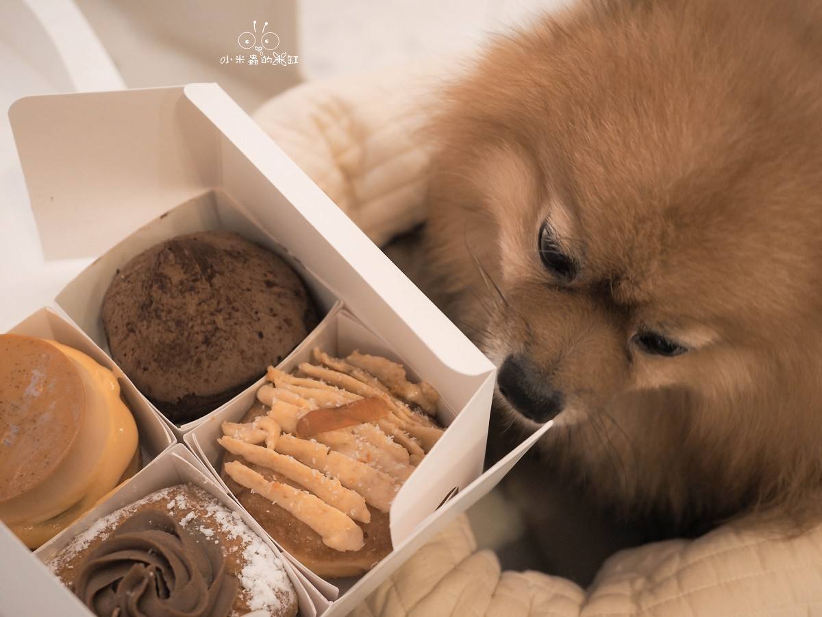 雪系町|11 月生級禮盒太犯規!北車超人氣生甜甜圈,4 款限定口味一次開箱,DUFFY 還偷聞停不下來 - 第1張圖