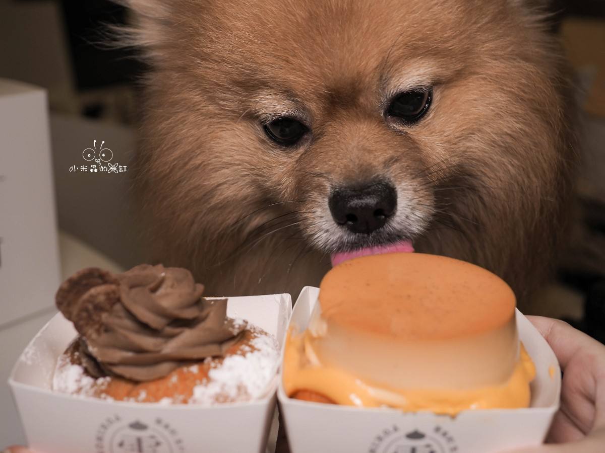 雪系町|11 月生級禮盒太犯規!北車超人氣生甜甜圈,4 款限定口味一次開箱,DUFFY 還偷聞停不下來 - 第18張圖