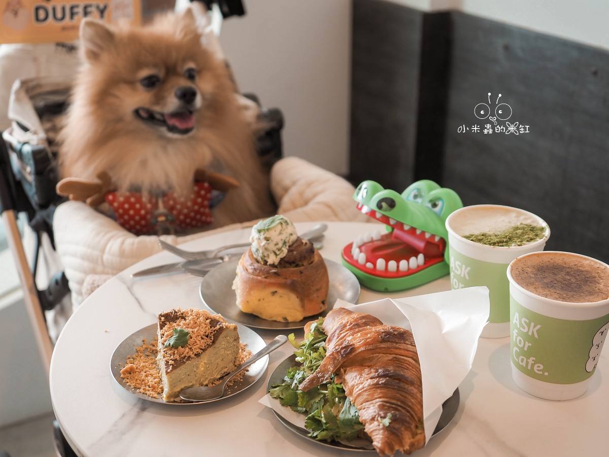 香菜控集合啦！南京三民 ASK for Cafe 香菜祭開跑，寵物友善咖啡廳連毛孩都想賴著不走