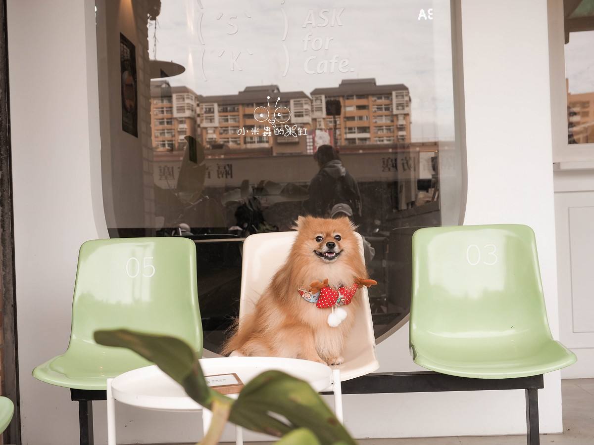 香菜控集合啦！南京三民 ASK for Cafe 香菜祭開跑，寵物友善咖啡廳連毛孩都想賴著不走