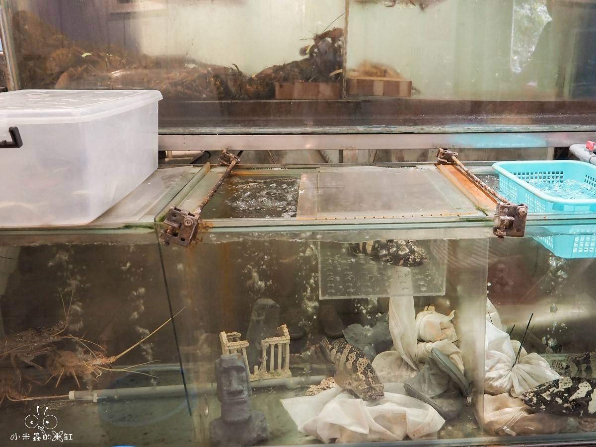 板橋海鮮控的天堂!蒸天下蒸氣火鍋|一鍋三吃超滿足,蒸龍蝦、煮火鍋、黃金海味粥濃郁到跪下!寵物友善還能包場 - 第8張圖 板橋海鮮控的天堂!蒸天下蒸氣火鍋|一鍋三吃超滿足,蒸龍蝦、煮火鍋、黃金海味粥濃郁到跪下!寵物友善還能包場