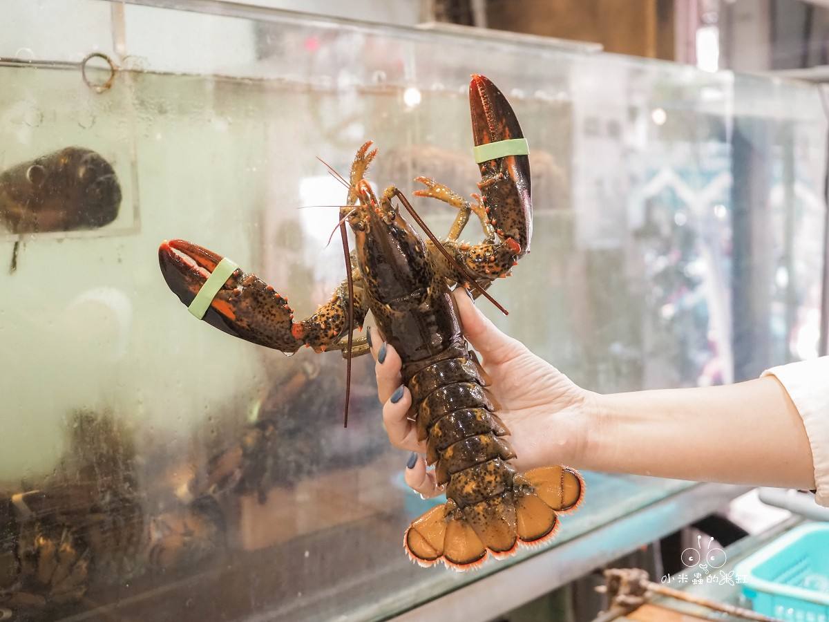 板橋海鮮控的天堂!蒸天下蒸氣火鍋|一鍋三吃超滿足,蒸龍蝦、煮火鍋、黃金海味粥濃郁到跪下!寵物友善還能包場 - 第9張圖 板橋海鮮控的天堂!蒸天下蒸氣火鍋|一鍋三吃超滿足,蒸龍蝦、煮火鍋、黃金海味粥濃郁到跪下!寵物友善還能包場