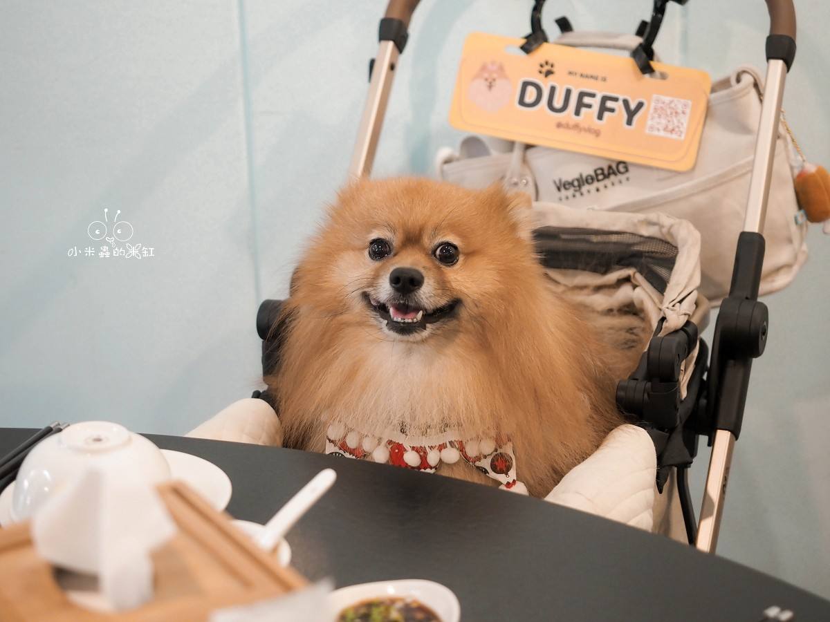 板橋海鮮控的天堂!蒸天下蒸氣火鍋|一鍋三吃超滿足,蒸龍蝦、煮火鍋、黃金海味粥濃郁到跪下!寵物友善還能包場 - 第13張圖 板橋海鮮控的天堂!蒸天下蒸氣火鍋|一鍋三吃超滿足,蒸龍蝦、煮火鍋、黃金海味粥濃郁到跪下!寵物友善還能包場