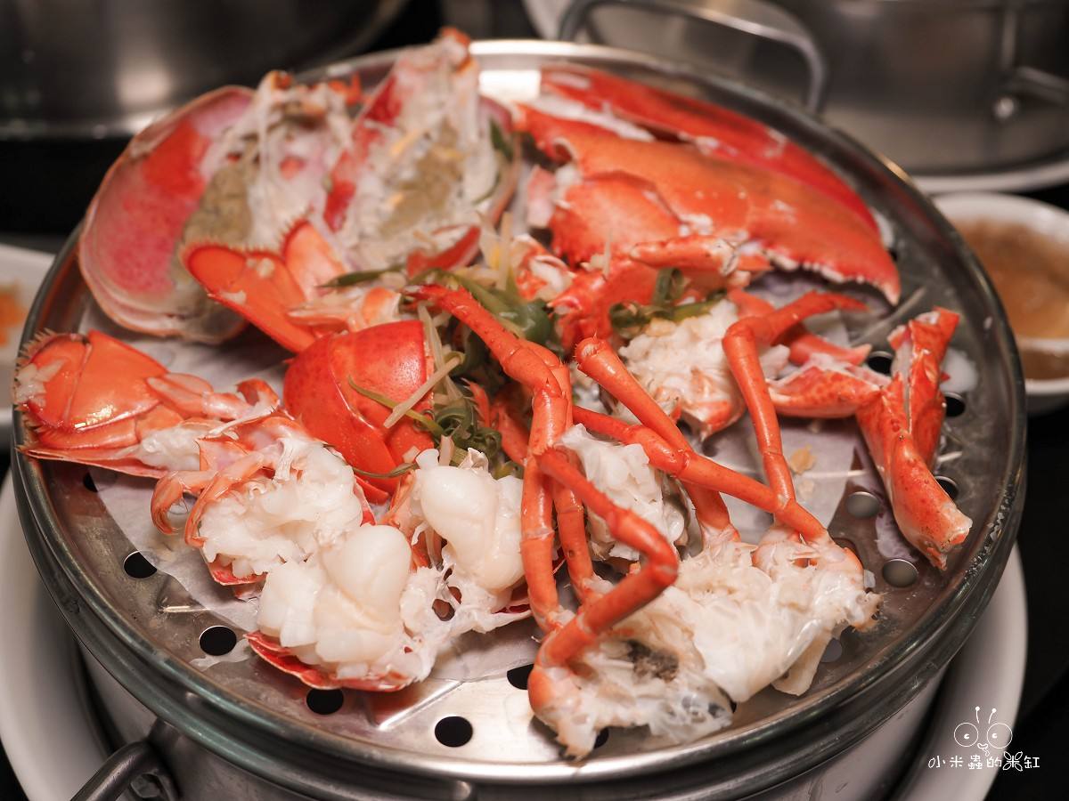 板橋海鮮控的天堂!蒸天下蒸氣火鍋|一鍋三吃超滿足,蒸龍蝦、煮火鍋、黃金海味粥濃郁到跪下!寵物友善還能包場 - 第22張圖 板橋海鮮控的天堂!蒸天下蒸氣火鍋|一鍋三吃超滿足,蒸龍蝦、煮火鍋、黃金海味粥濃郁到跪下!寵物友善還能包場