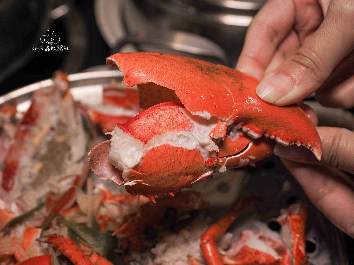 板橋海鮮控的天堂!蒸天下蒸氣火鍋|一鍋三吃超滿足,蒸龍蝦、煮火鍋、黃金海味粥濃郁到跪下!寵物友善還能包場 - 第23張圖 板橋海鮮控的天堂!蒸天下蒸氣火鍋|一鍋三吃超滿足,蒸龍蝦、煮火鍋、黃金海味粥濃郁到跪下!寵物友善還能包場