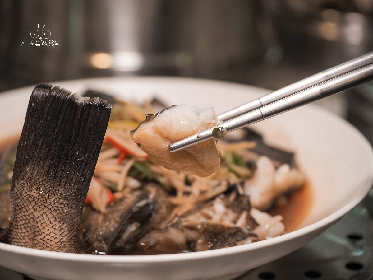 板橋海鮮控的天堂!蒸天下蒸氣火鍋|一鍋三吃超滿足,蒸龍蝦、煮火鍋、黃金海味粥濃郁到跪下!寵物友善還能包場 - 第33張圖 板橋海鮮控的天堂!蒸天下蒸氣火鍋|一鍋三吃超滿足,蒸龍蝦、煮火鍋、黃金海味粥濃郁到跪下!寵物友善還能包場