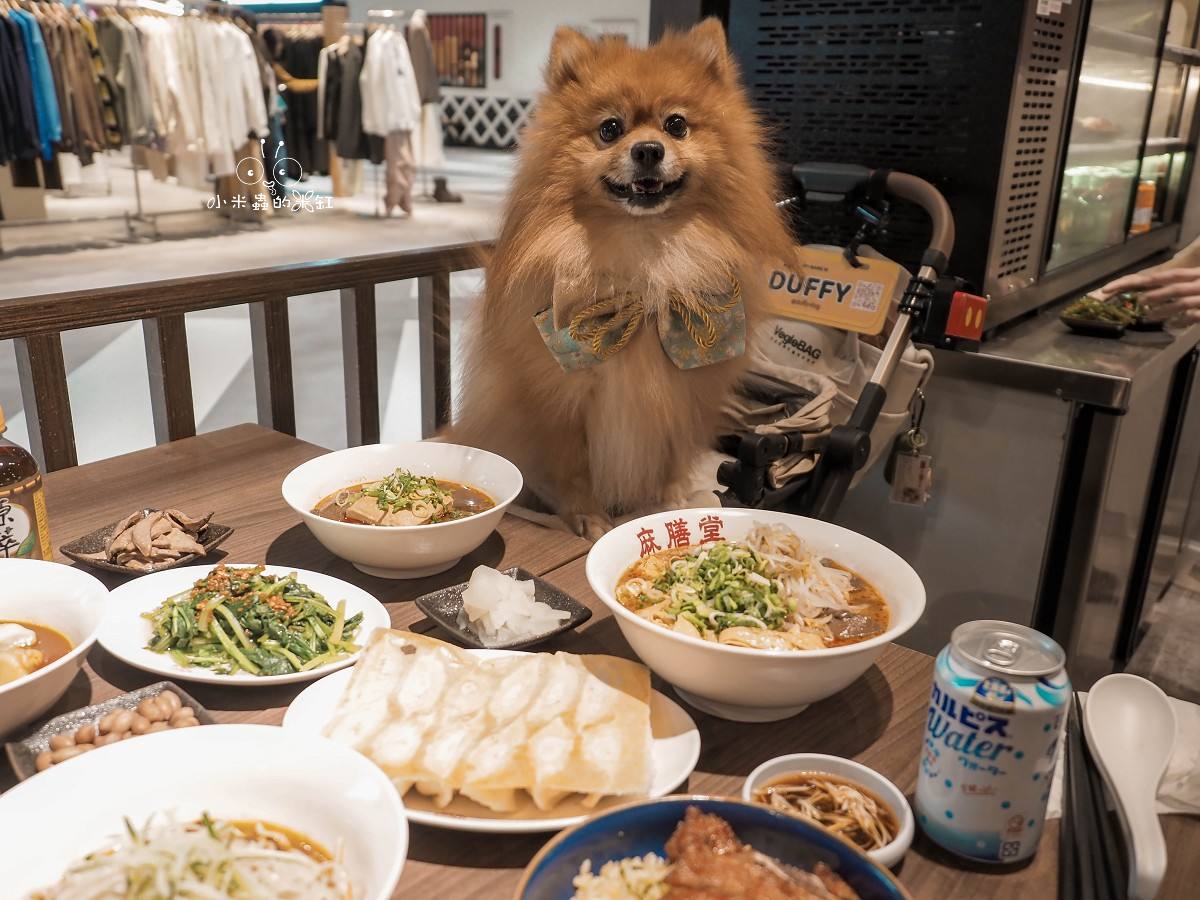 新店裕隆城美食「麻膳堂」帶毛孩逛街的救星！被牛肉麵耽誤的排骨炒飯？香麻帶勁的台式時尚美味 (寵物友善)