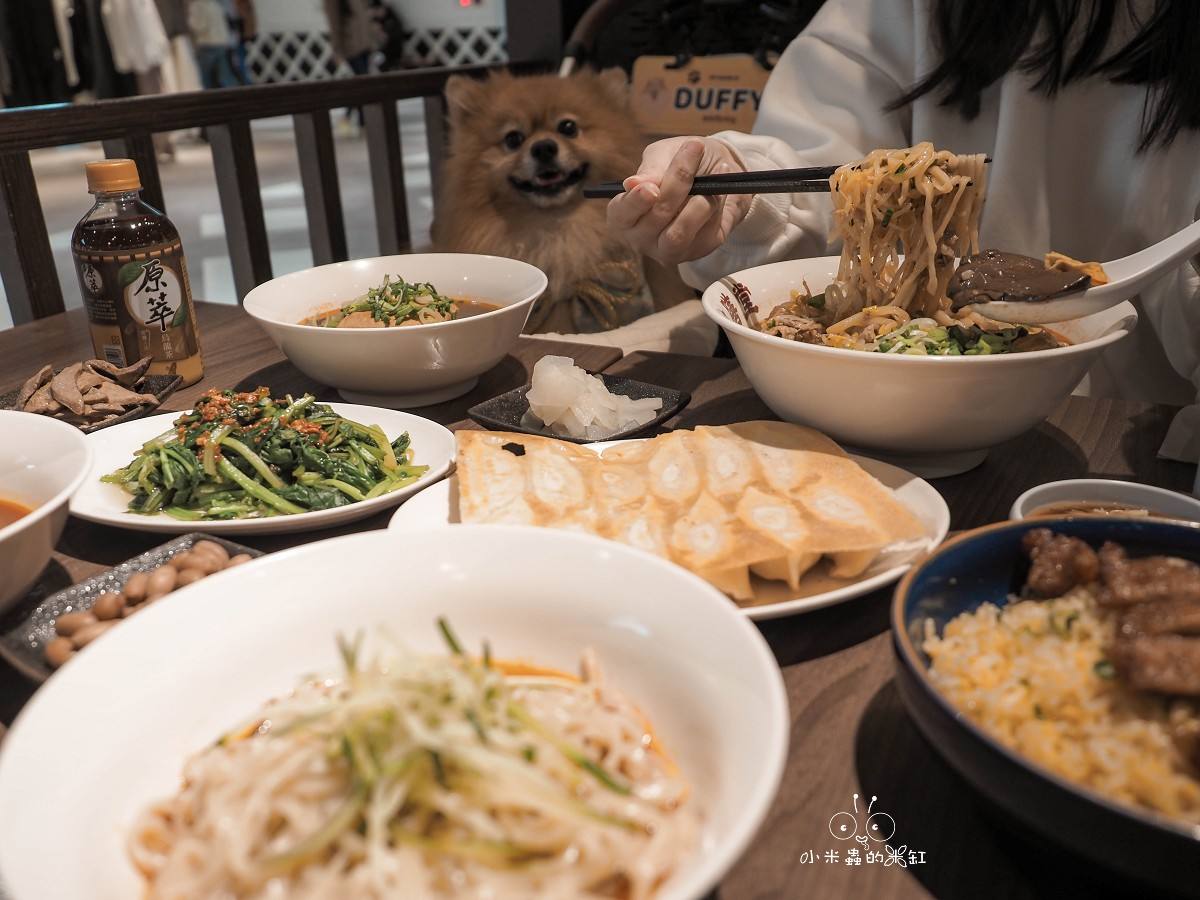 新店裕隆城美食「麻膳堂」帶毛孩逛街的救星！被牛肉麵耽誤的排骨炒飯？香麻帶勁的台式時尚美味 (寵物友善)