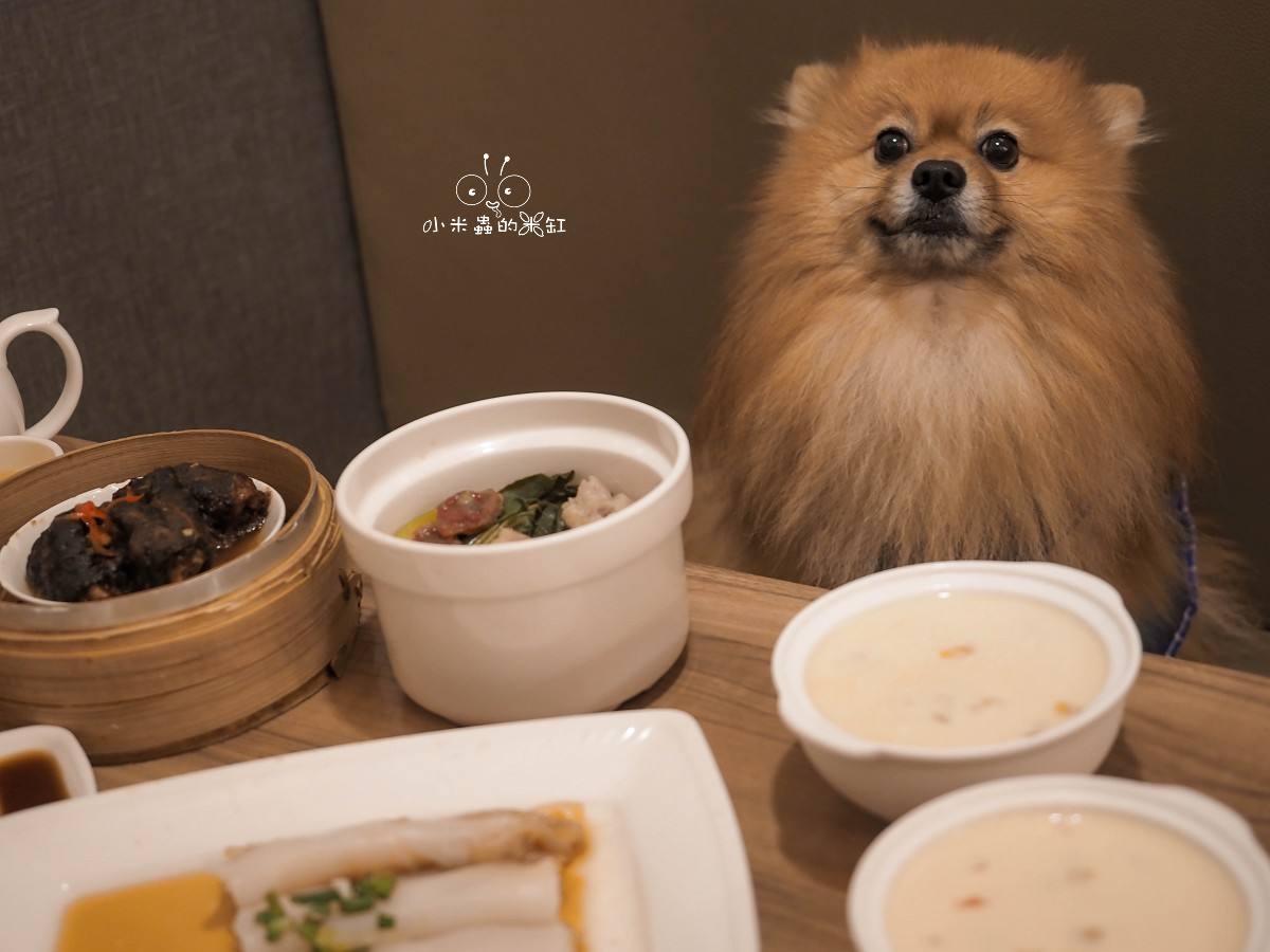 三重必吃平價港點「上手食客」！現點現蒸庶民美味，珍珠甜湯免費無限續！還能帶毛孩一起吃！