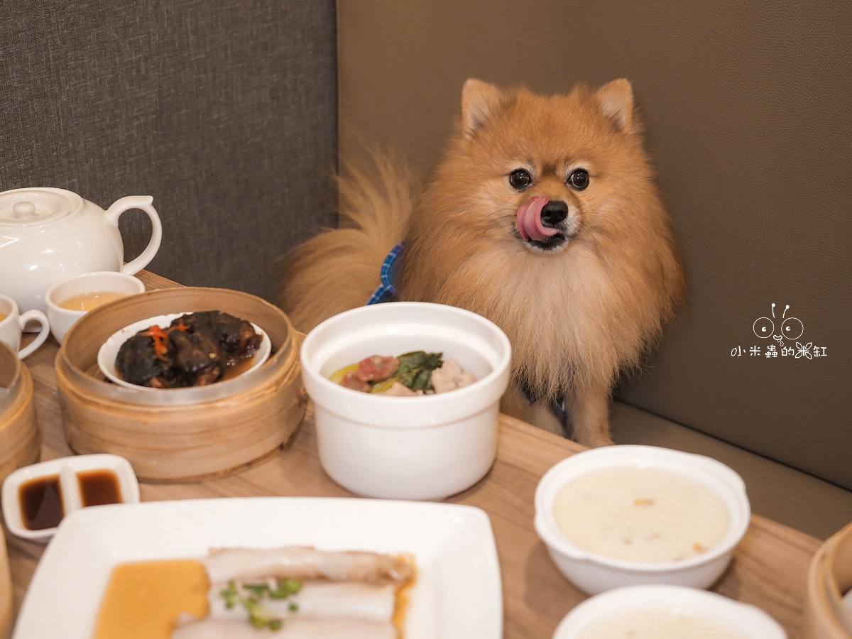 三重必吃平價港點「上手食客」！現點現蒸庶民美味，珍珠甜湯免費無限續！還能帶毛孩一起吃！