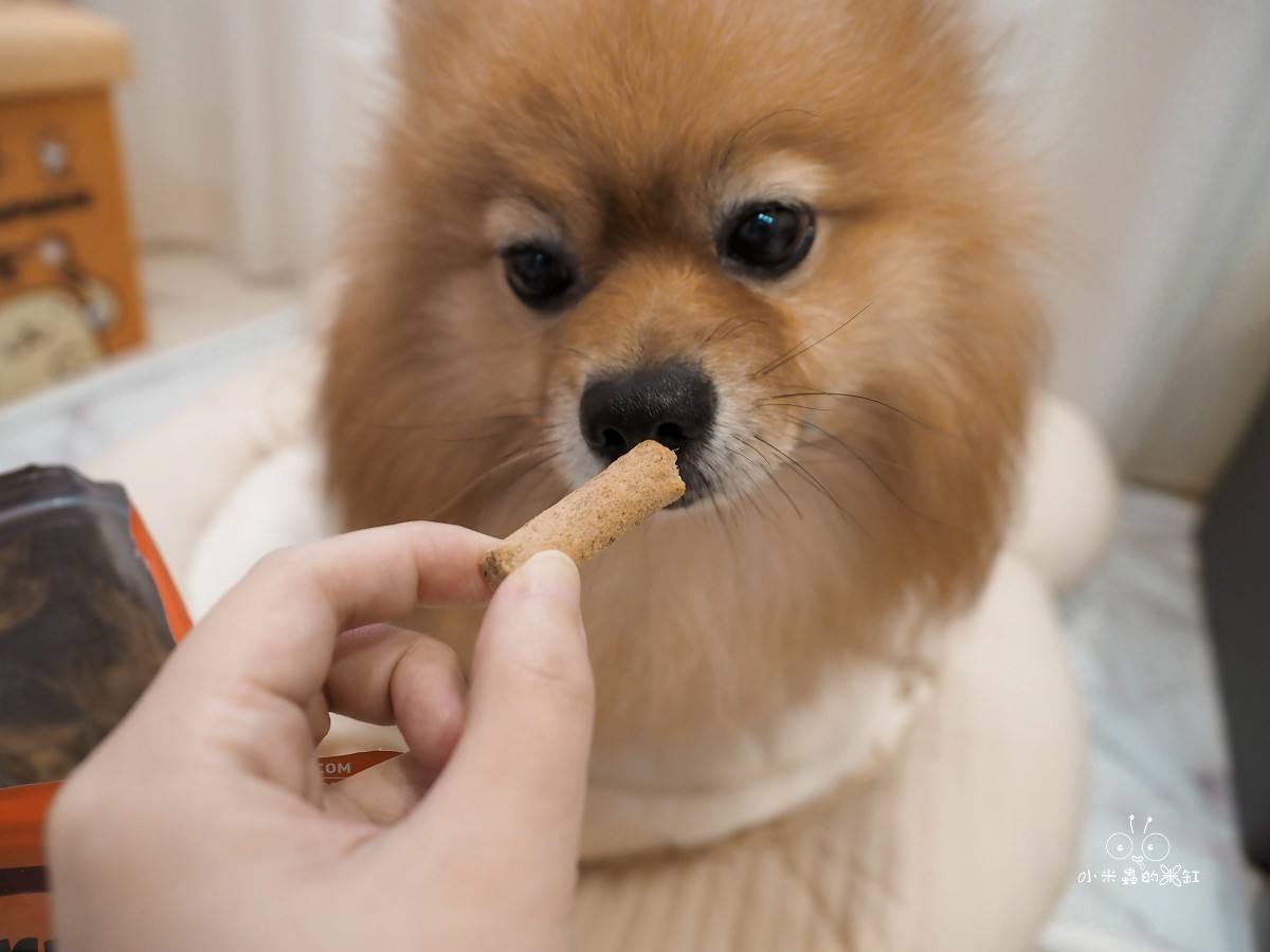 K9 Natural評價｜挑食狗DUFFY直接被收服！羊鹿主食凍乾開箱，高適口性真的有感！