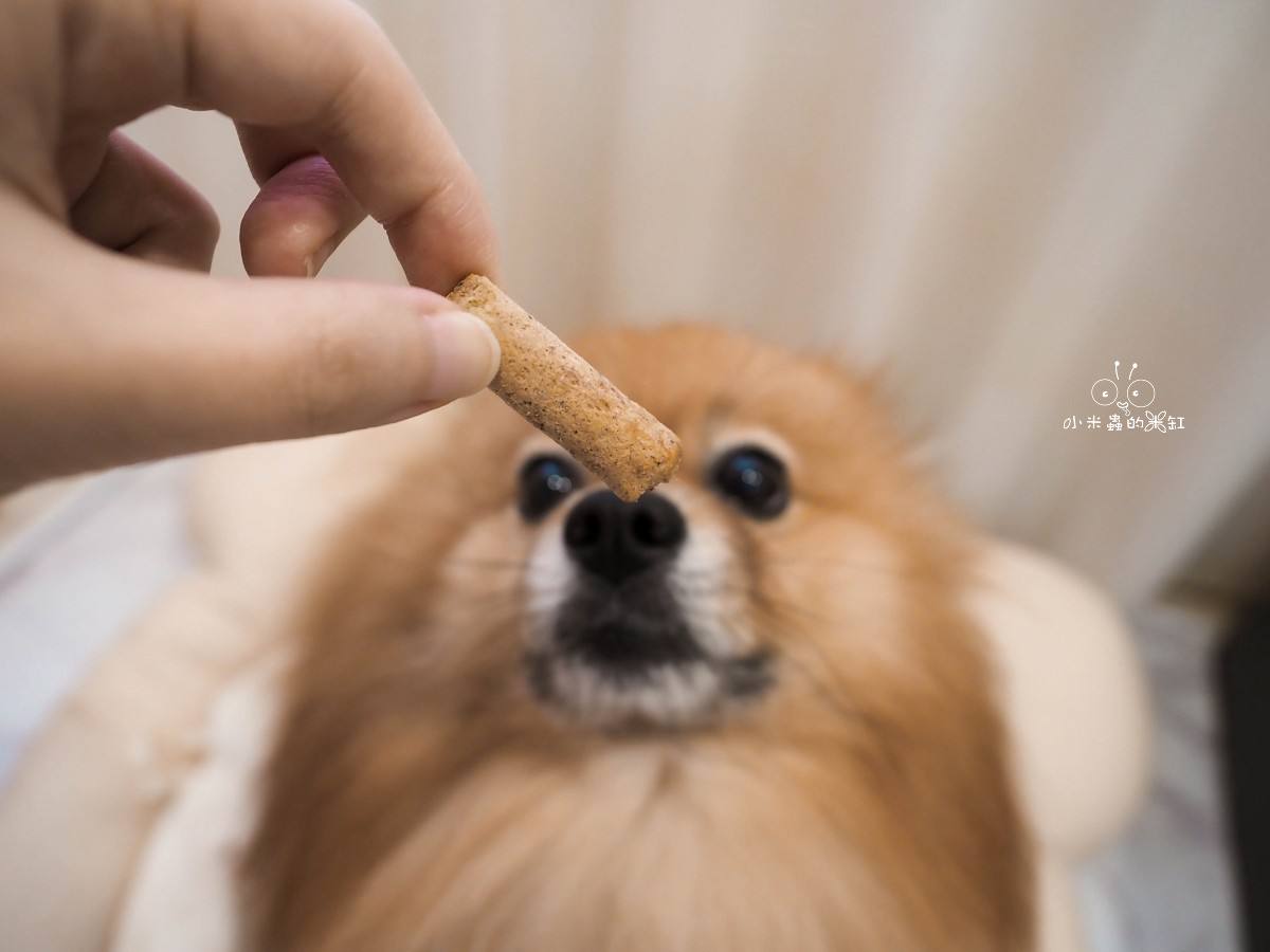 K9 Natural評價｜挑食狗DUFFY直接被收服！羊鹿主食凍乾開箱，高適口性真的有感！