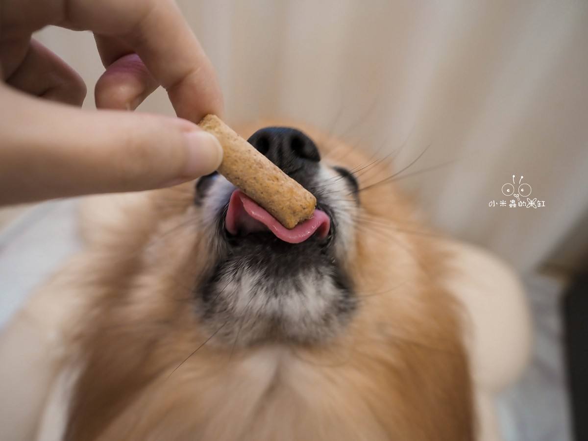 K9 Natural評價｜挑食狗DUFFY直接被收服！羊鹿主食凍乾開箱，高適口性真的有感！