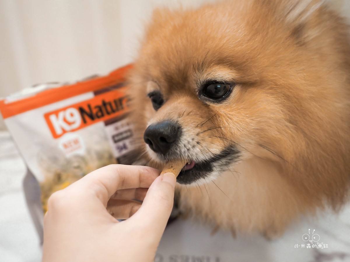 K9 Natural評價｜挑食狗DUFFY直接被收服！羊鹿主食凍乾開箱，高適口性真的有感！