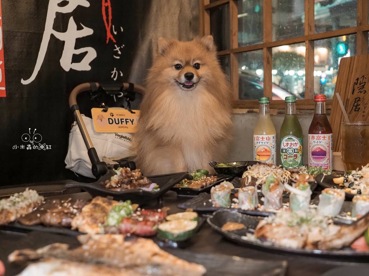 永和宵夜必吃！隱居永貞店 隱身巷弄的日式深夜食堂，串燒、居酒屋料理與寵物友善的完美結合