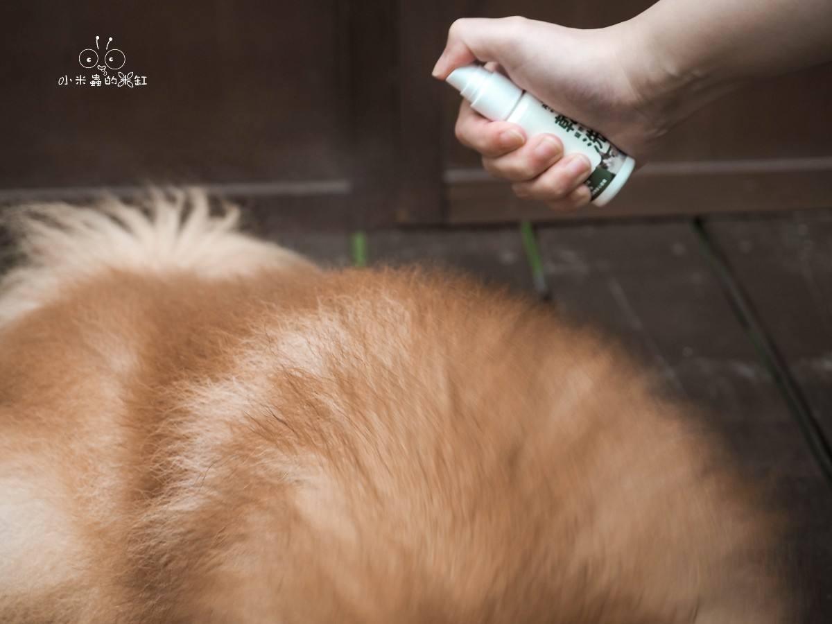 Aether依鈦抗菌專家開箱|寵物乾洗澡推薦!DUFFY每天上床睡,清潔不能馬虎!毛孩快速除臭+抗菌有感 - 第13張圖 Aether依鈦抗菌專家開箱|寵物乾洗澡推薦!DUFFY每天上床睡,清潔不能馬虎!毛孩快速除臭+抗菌有感