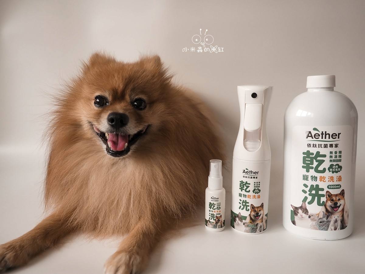 Aether依鈦抗菌專家開箱|寵物乾洗澡推薦!DUFFY每天上床睡,清潔不能馬虎!毛孩快速除臭+抗菌有感 - 第1張圖 Aether依鈦抗菌專家開箱|寵物乾洗澡推薦!DUFFY每天上床睡,清潔不能馬虎!毛孩快速除臭+抗菌有感